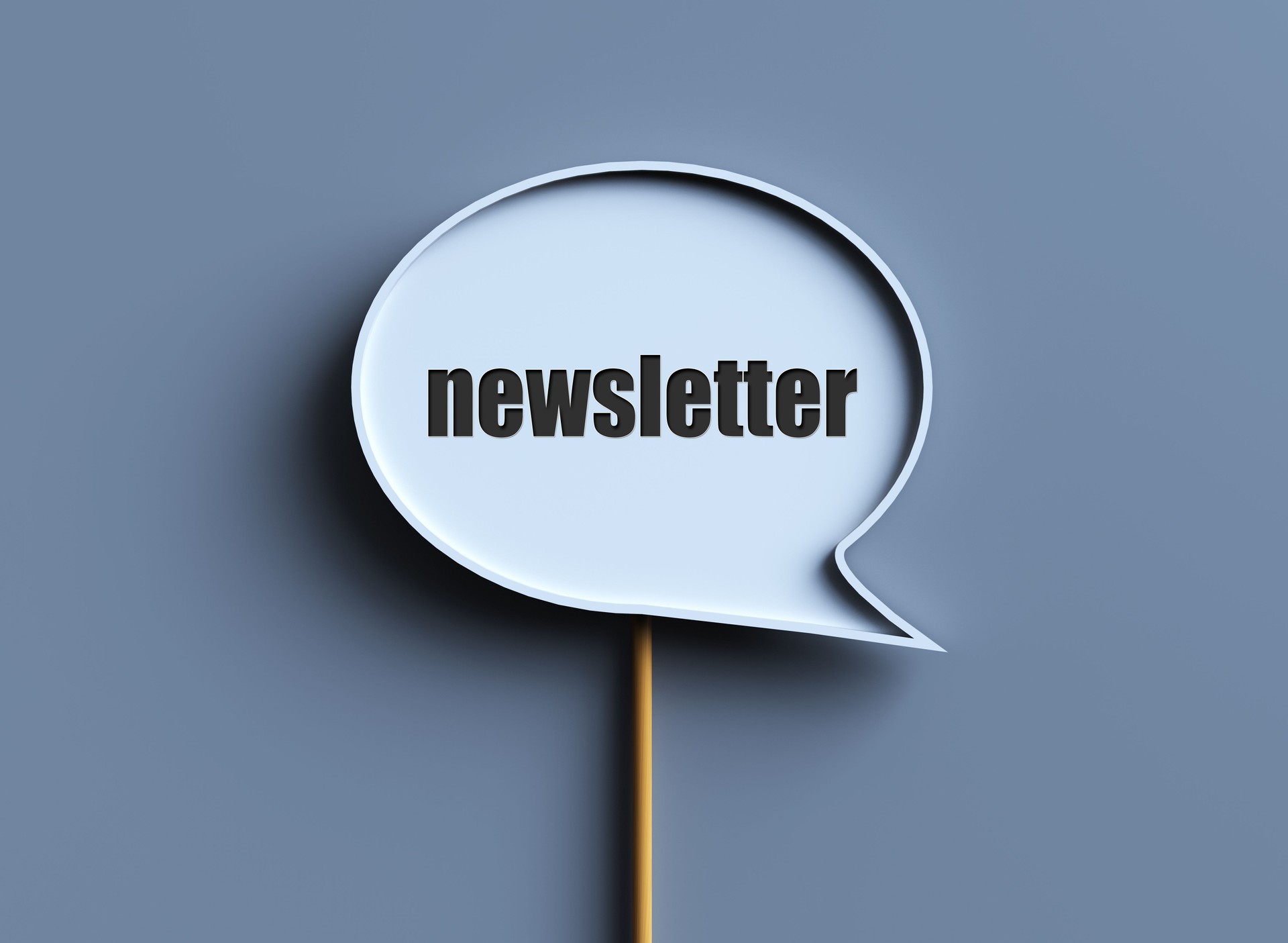 Newsletter